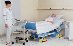 seca 984 bed dialysis scale